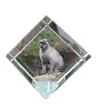 Burma Cat - crystal cube with a picture of a cat, crystal with a picture of a horse, cubic paperweight by Art-Dog brand