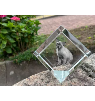 Chat de Birmanie - un cube en cristal avec une photo de chat, une photo de cheval dans le cristal, un presse-papiers cubique de la marque Art-Dog
