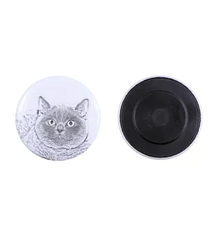 British Shorthair - collection of unique magnets, own photo, Art-Dog brand