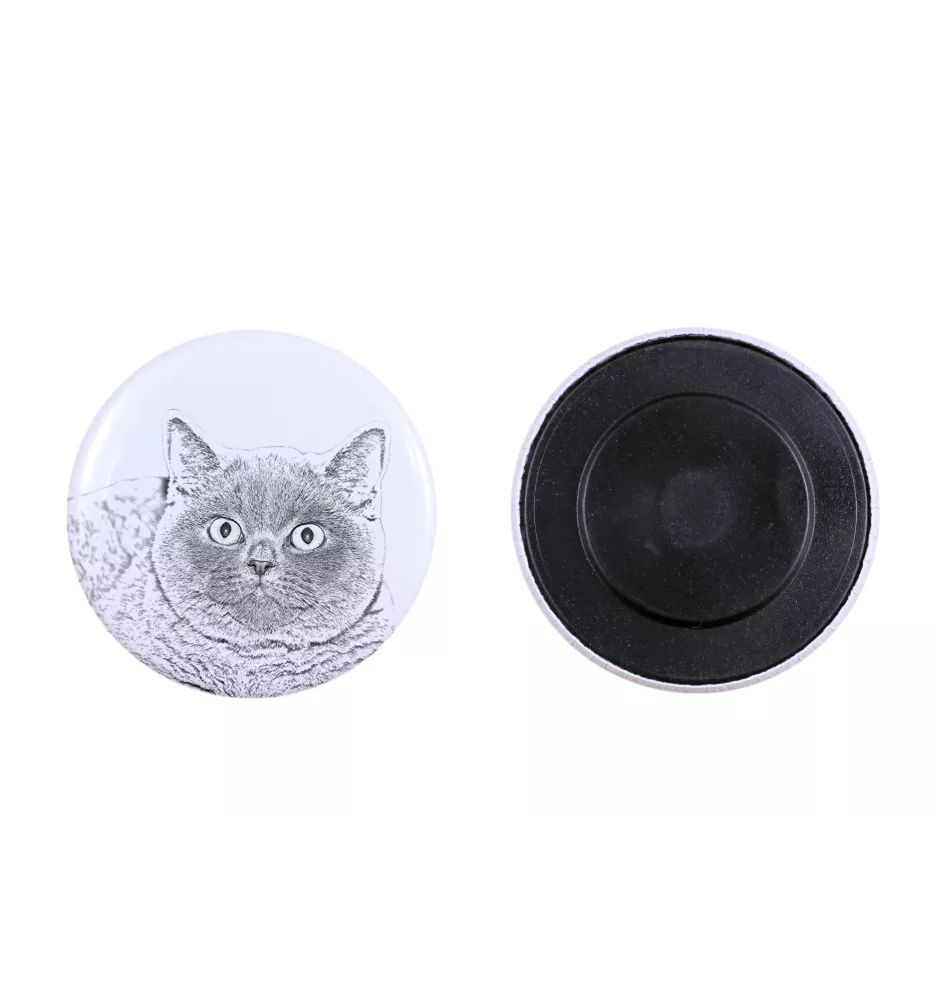 British Shorthair - collection of unique magnets, own photo, Art-Dog brand
