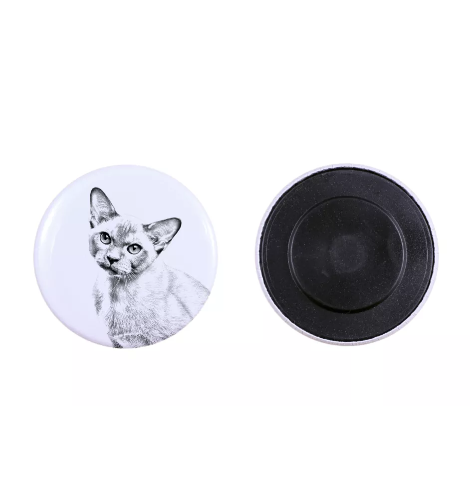 Burma Cat - collection of unique magnets, own photo, Art-Dog brand