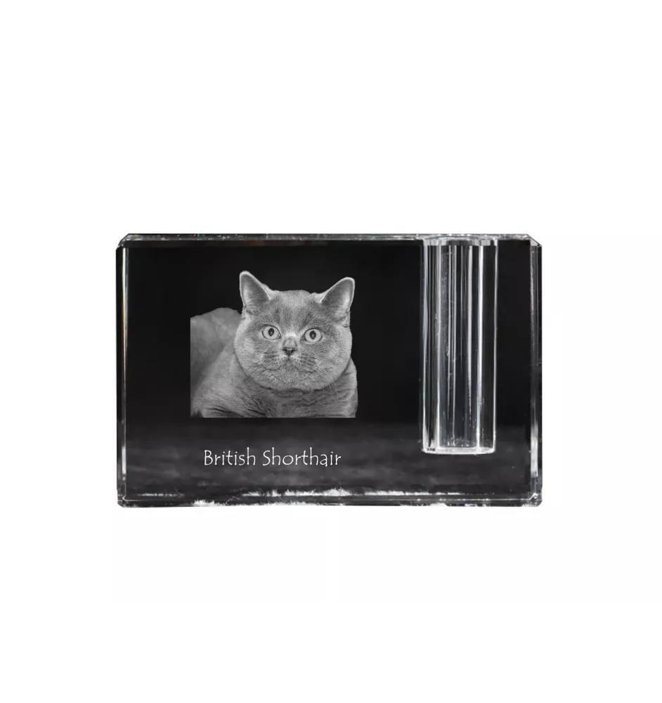 British Shorthair - Pen stand, crystal organiser with cat photo, unique desk decoration by Art-Dog brand