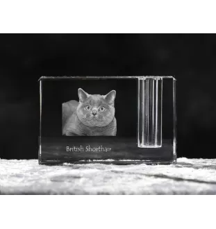 Britisch Kurzhaar - Stifthalter, Kristallorganizer mit Katzenfoto, einzigartige Schreibtischdekoration der Marke Art-Dog