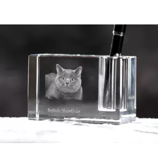 British Shorthair - Pen stand, crystal organiser with cat photo, unique desk decoration by Art-Dog brand