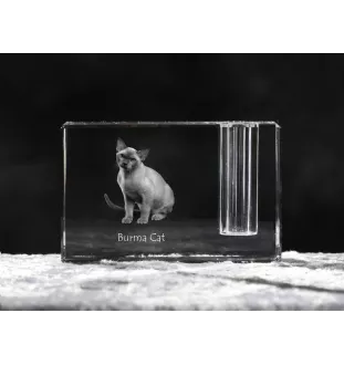 Birmakatze - Stifthalter, Kristallorganizer mit Katzenfoto, einzigartige Schreibtischdekoration der Marke Art-Dog