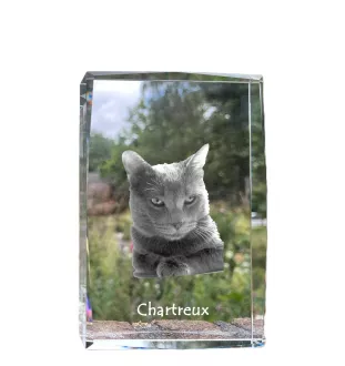 Chartreux kryształ z kotem Art-Dog