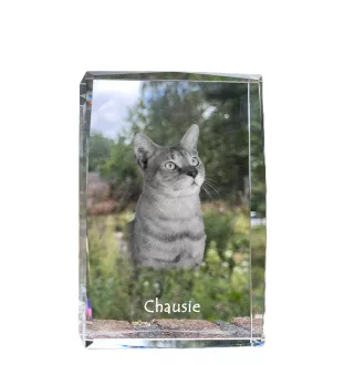 Chausie - crystal with a picture of a cat, photo in glass, modern exhibition of Art-Dog brand photo