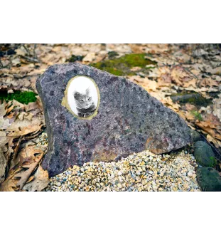 Chartreux - Gedenktafel mit einem Foto einer Katze, Grabplatte mit Druck, personalisierte ovale Platte der Marke Art-Dog