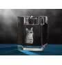 Chausie - Bougeoir avec photo de chat, porte bougie en cristal, cadeau personnalisé par la marque Art-Dog