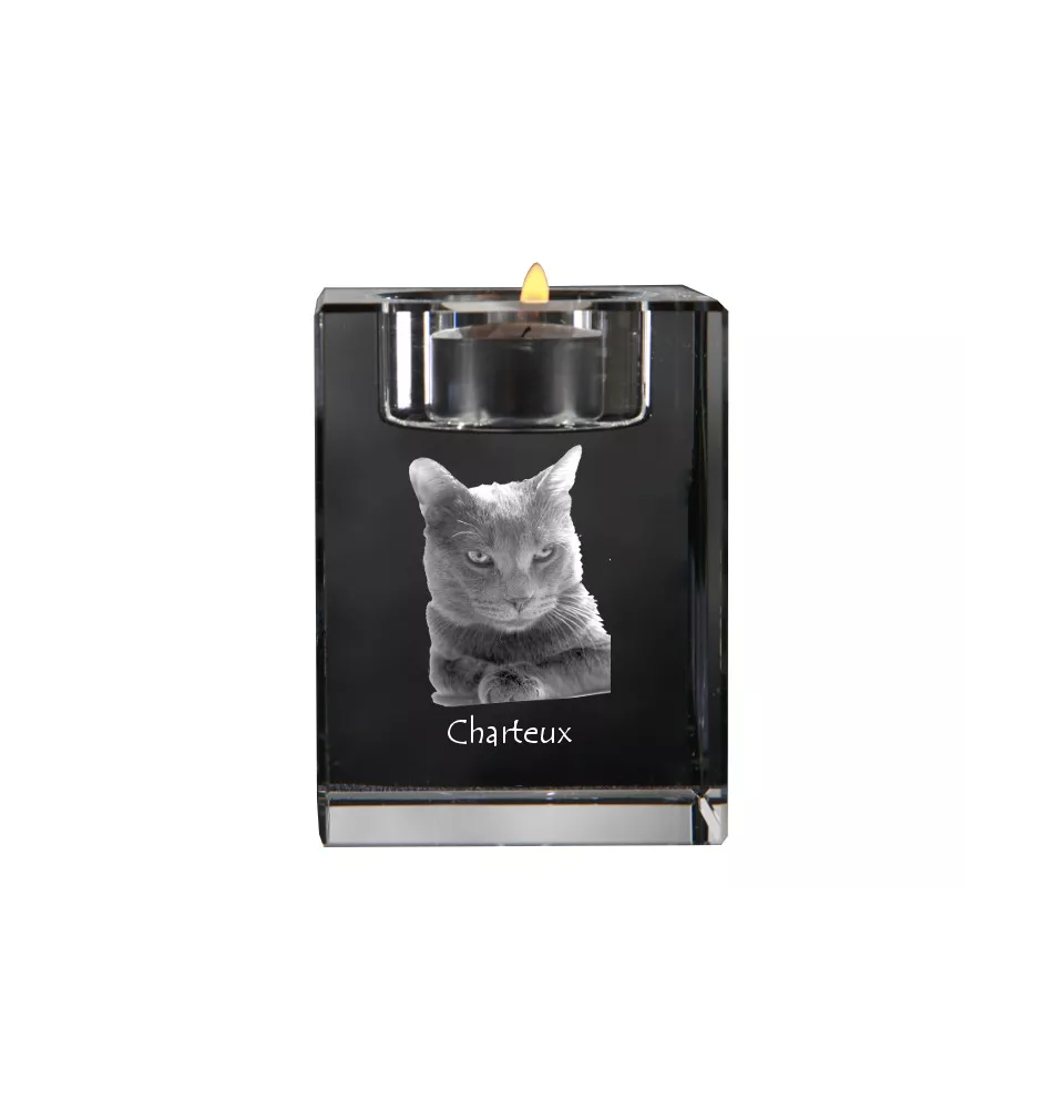 Chartreux - Candle holder with cat photo, crystal tealight holder, personalised gift by Art-Dog brand