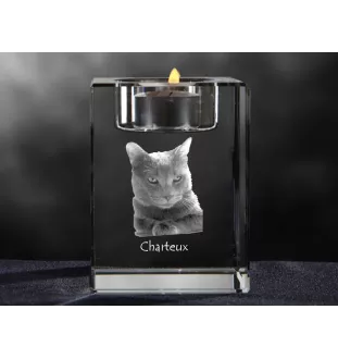 Chartreux - Kerzenhalter mit Katzenfoto, Teelichthalter aus Kristall, personalisiertes Geschenk der Marke Art-Dog