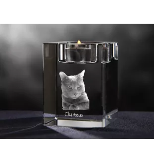 Chartreux - Bougeoir avec photo de chat, porte bougie en cristal, cadeau personnalisé par la marque Art-Dog