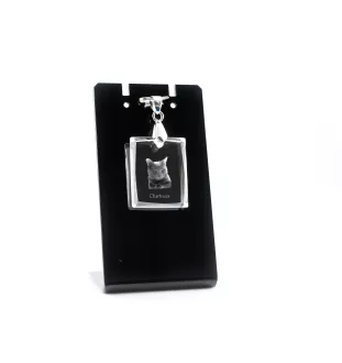 Chartreux - Crystal cat pendant, photo necklace, unique jewellery by Art-Dog