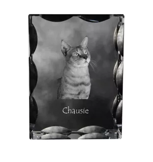 Chausie - cristal avec une photo de chat, une statuette en verre avec une photo, un cadre exceptionnel avec une photo de la marque Art-Dog