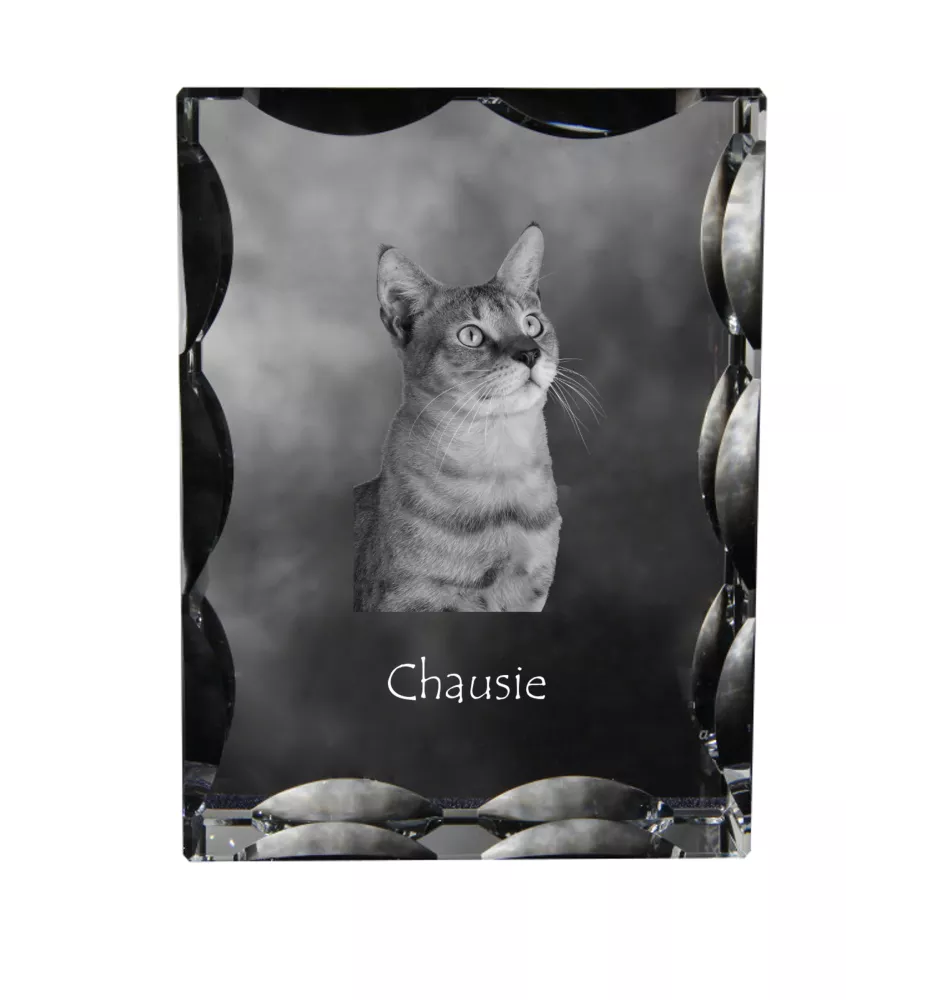 Chausie - crystal with a cat picture, glass statuette with a picture, unique frame with a picture from Art-Dog brand