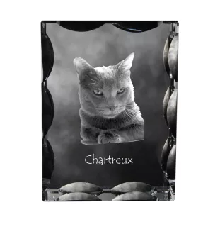 Chartreux - cristal avec une photo de chat, une statuette en verre avec une photo, un cadre exceptionnel avec une photo de la marque Art-Dog