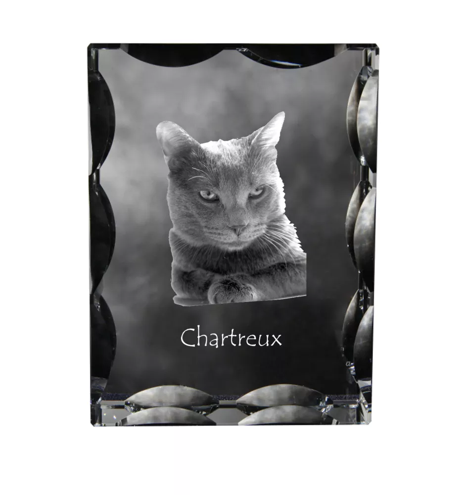 Chartreux - crystal with a cat picture, glass statuette with a picture, unique frame with a picture from Art-Dog brand
