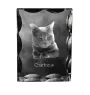Chartreux - Kristall mit Katzenbild, Glasstatuette mit Bild, einzigartiger Bilderrahmen der Marke Art-Dog
