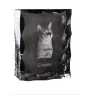 Chausie - cristal avec une photo de chat, une statuette en verre avec une photo, un cadre exceptionnel avec une photo de la marque Art-Dog