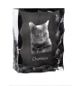 Chartreux - crystal with a cat picture, glass statuette with a picture, unique frame with a picture from Art-Dog brand