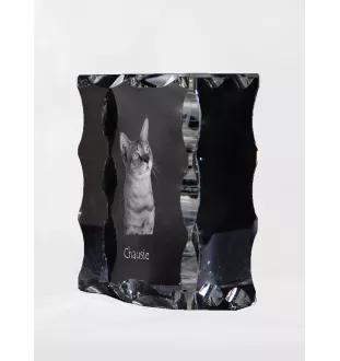 Chausie - Kristall mit Katzenbild, Glasstatuette mit Bild, einzigartiger Bilderrahmen der Marke Art-Dog