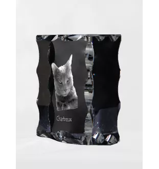 Chartreux - crystal with a cat picture, glass statuette with a picture, unique frame with a picture from Art-Dog brand