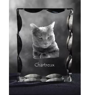 Chartreux - cristal avec une photo de chat, une statuette en verre avec une photo, un cadre exceptionnel avec une photo de la marque Art-Dog