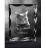 Chartreux - crystal with a cat picture, glass statuette with a picture, unique frame with a picture from Art-Dog brand