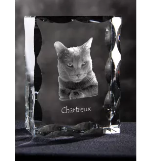 Chartreux - cristal avec une photo de chat, une statuette en verre avec une photo, un cadre exceptionnel avec une photo de la marque Art-Dog