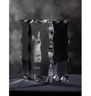Chausie - crystal with a cat picture, glass statuette with a picture, unique frame with a picture from Art-Dog brand