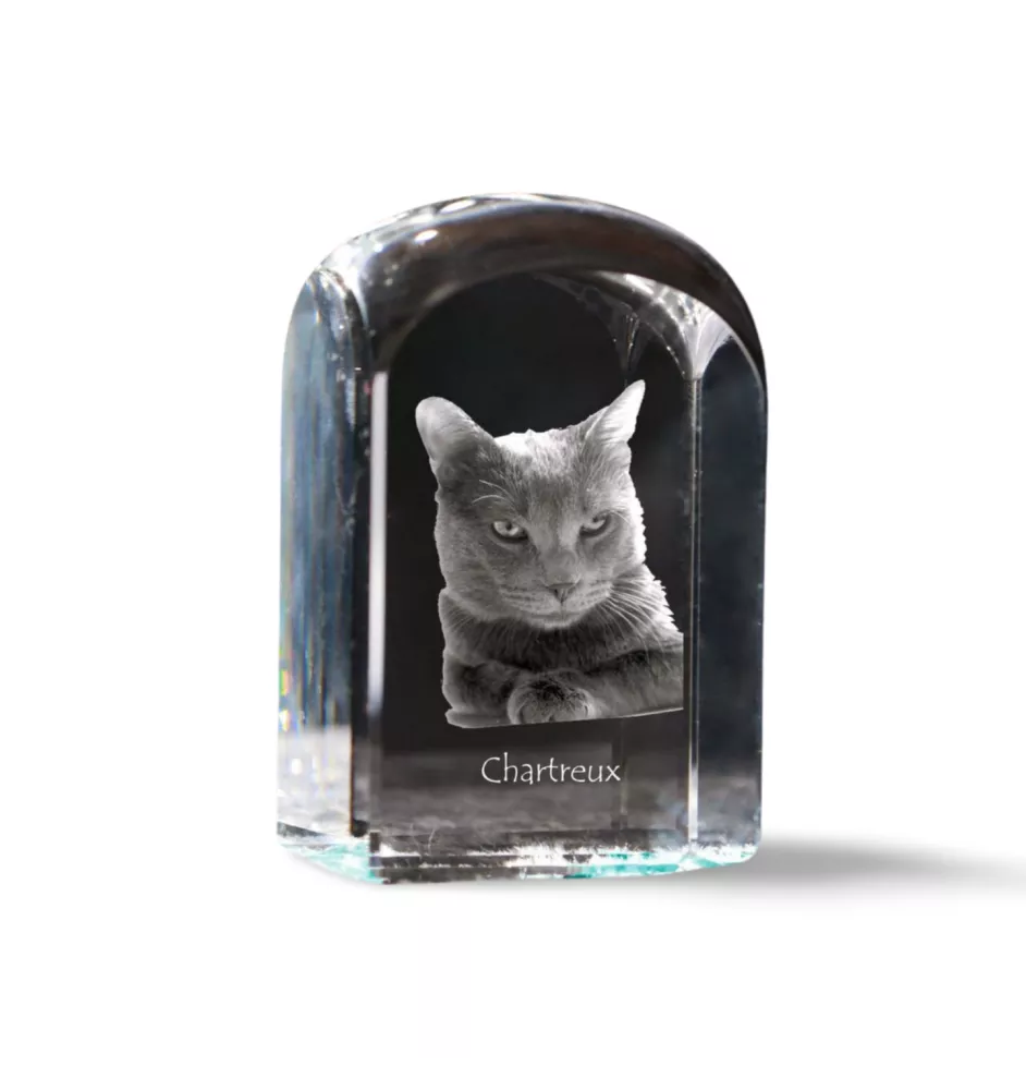Chartreux - crystal cube with a photo, photo of a cat in crystal, cubic paperweight from Art-Dog brand