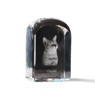 Chausie - un cube en cristal avec une photo, une photo de chat dans le cristal, un presse-papiers cubique de la marque Art-Dog