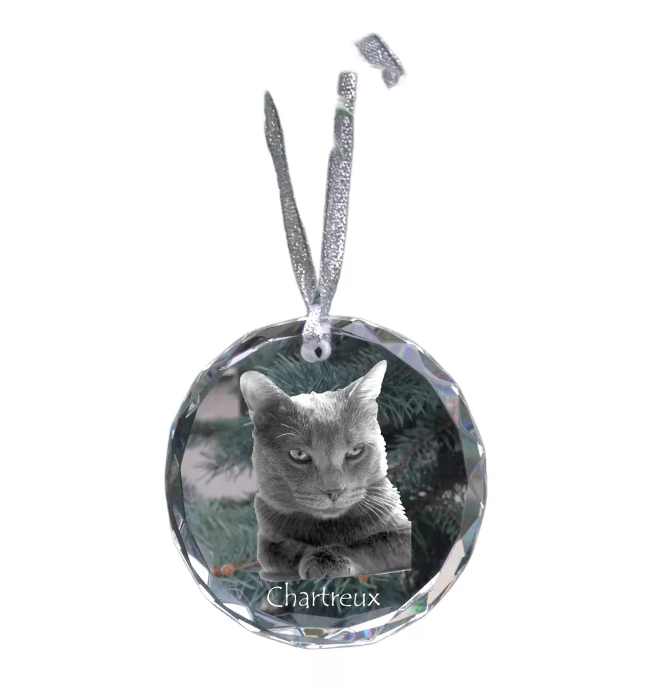 Chartreux - boule de Noël en cristal avec une photo, photo d'un chat dans le cristal, décoration personnalisée pour sapin de Noël de la marque Art-Dog