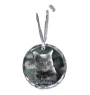Chartreux - crystal bauble with a photo, photo of a cat in crystal, personalized Christmas tree ornament by Art-Dog brand