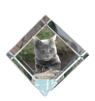 Chartreux - crystal cube with a picture of a cat, crystal with a picture of a horse, cubic paperweight by Art-Dog brand