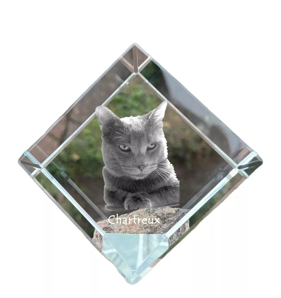 Chartreux - crystal cube with a picture of a cat, crystal with a picture of a horse, cubic paperweight by Art-Dog brand