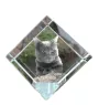 Chartreux - crystal cube with a picture of a cat, crystal with a picture of a horse, cubic paperweight by Art-Dog brand
