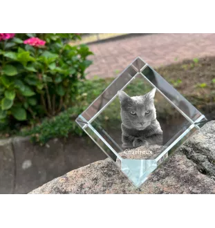Chartreux - crystal cube with a picture of a cat, crystal with a picture of a horse, cubic paperweight by Art-Dog brand