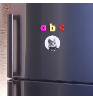 Chartreux - collection de magnets uniques, photo personnelle, marque Art-Dog