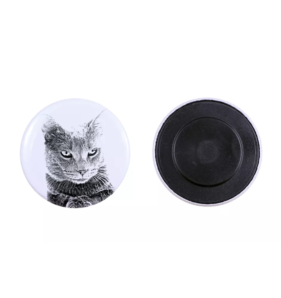 Chartreux - collection of unique magnets, own photo, Art-Dog brand