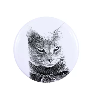 Chartreux - collection of unique magnets, own photo, Art-Dog brand