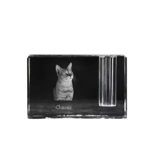 Chausie - Pen stand, crystal organiser with cat photo, unique desk decoration by Art-Dog brand