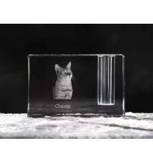 Chausie - Pen stand, crystal organiser with cat photo, unique desk decoration by Art-Dog brand