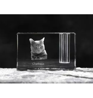 Chartreux - Stifthalter, Kristallorganizer mit Katzenfoto, einzigartige Schreibtischdekoration der Marke Art-Dog