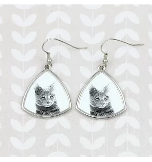Chartreux - cat earrings, hanging earrings with a picture, personalized jewelry with Art-Dog brand print.