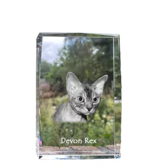 Devon Rex kryształ z kotem Art-Dog