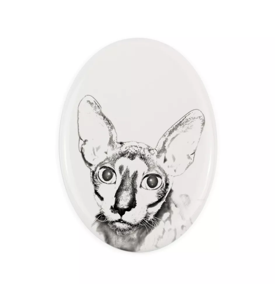 Cornish Rex - commemorative plaque with a cat photo, tombstone with a print, personalized oval plaque from the Art-Dog brand