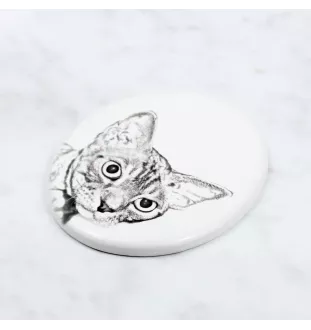 Devon Rex - commemorative plaque with a cat photo, tombstone with a print, personalized oval plaque from the Art-Dog brand