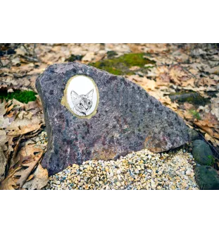 Devon Rex - commemorative plaque with a cat photo, tombstone with a print, personalized oval plaque from the Art-Dog brand