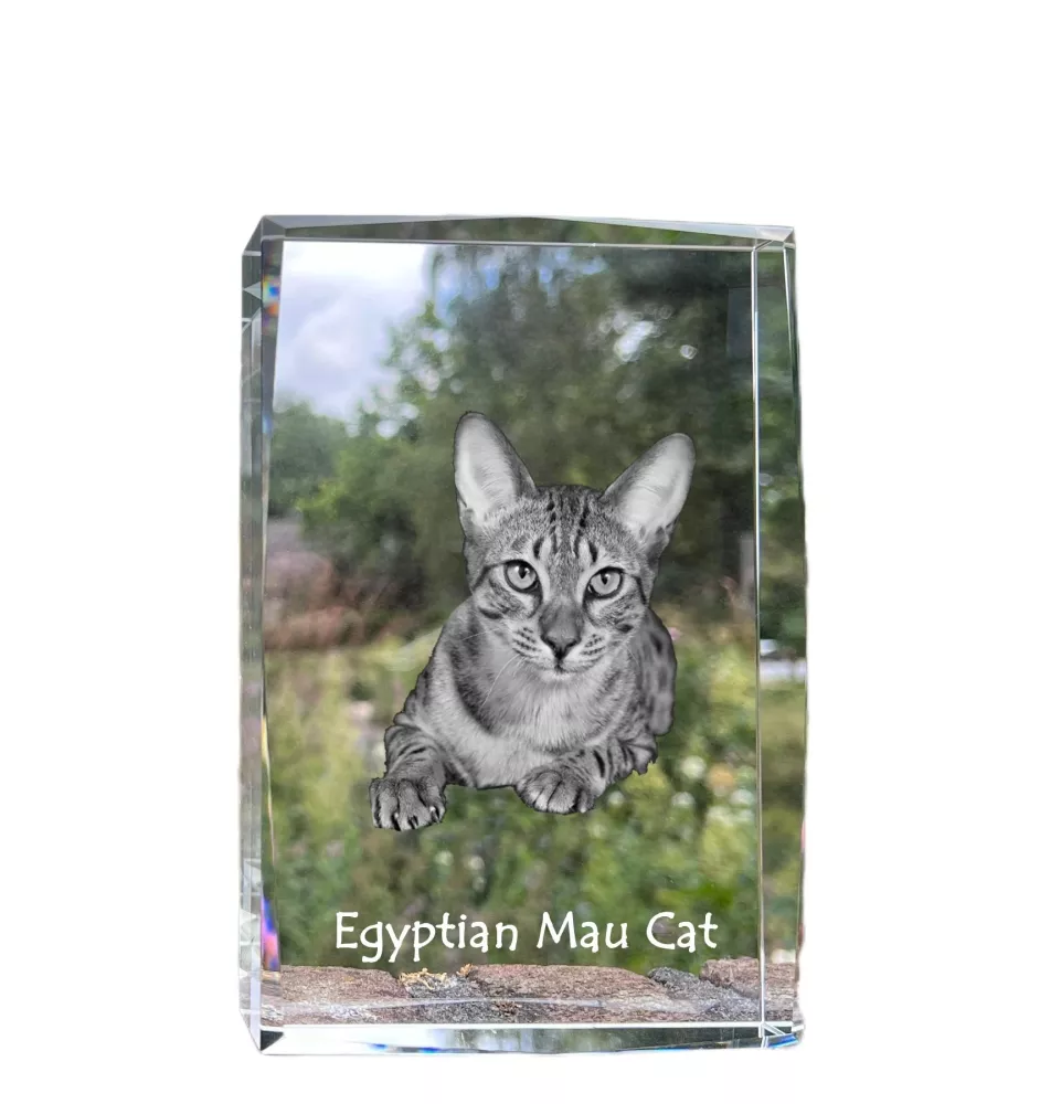 Ägyptische Mau Katze - Kristall mit einem Katzenbild, Bild im Glas, moderne Ausstellung des Art-Dog-Fotos.